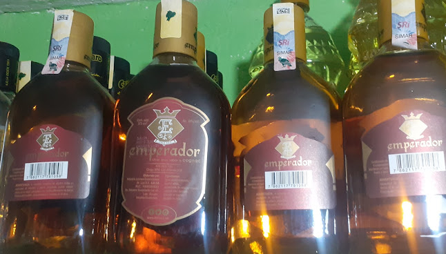 DISTRIBUIDORA PILSENER - Gastronomía y hostelería