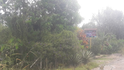 Bar Galactic Maribella