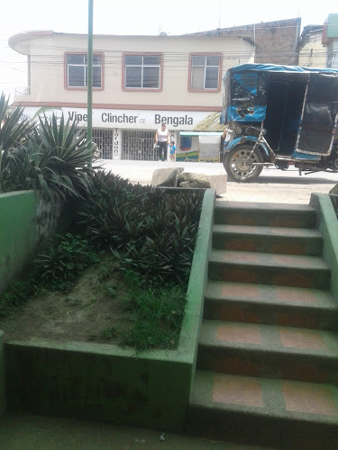 Comentarii opinii despre Agroinsumos Kevin