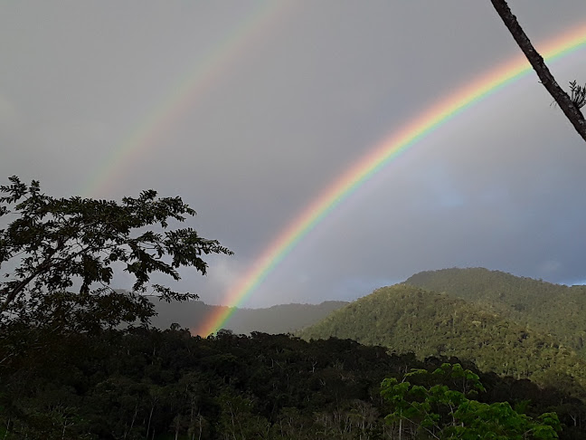 Golden Coffee Amazonas - Yantzaza