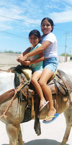 Comentarii opinii despre Francis Cafe Restaurant