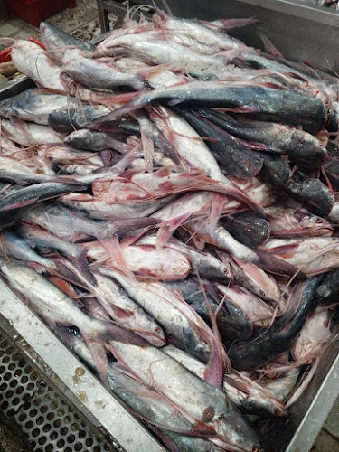 Comentarii opinii despre Pescadería la caraguay