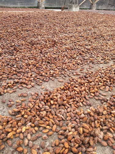 Vinces, Milagro, Ecuador