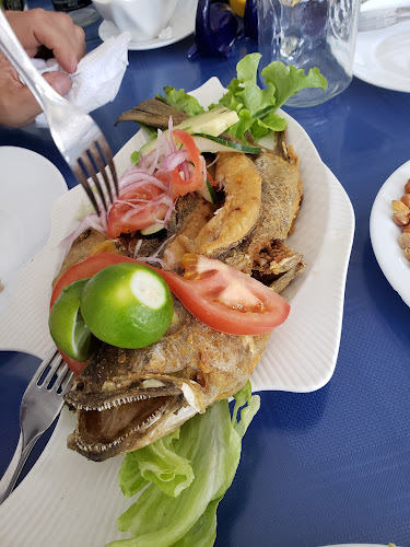 C. 110 102, Manta 130203