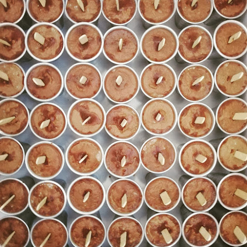 Comentarii opinii despre Galapagos Icon