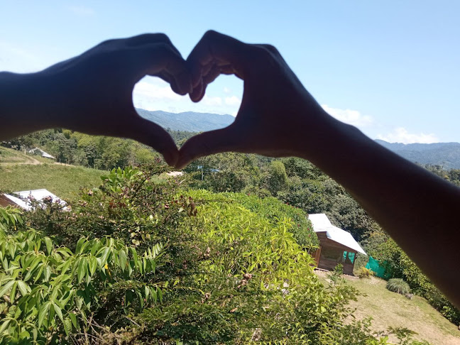 SALOYA FROGS (hospedaje) - San Miguel de Los Bancos