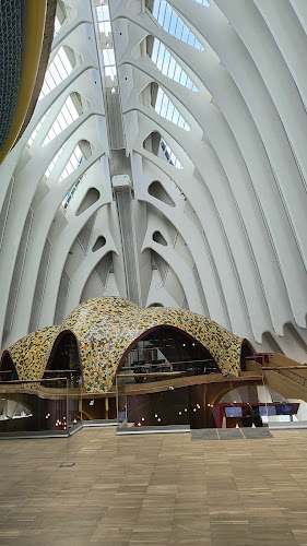 Opinii despre Museu Ristorante Trattoria în Valencia - Gastronomía y hostelería