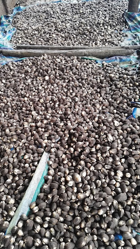 Calle malecón y, C. Simón Bolívar, San Lorenzo 080550