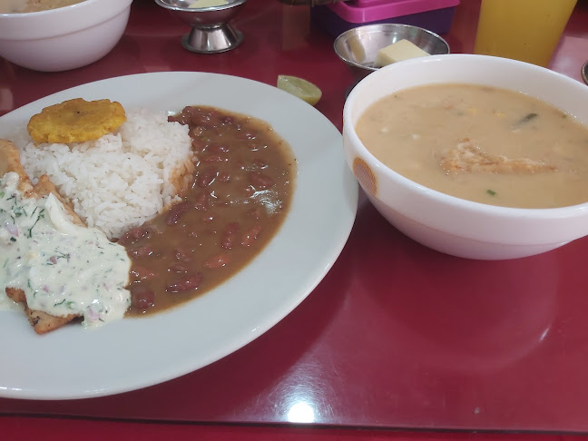 C. Tulcán, Santo Domingo 230102