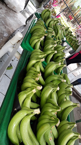 Opinii despre Hacienda La Piedad în El Porton - Gastronomía y hostelería