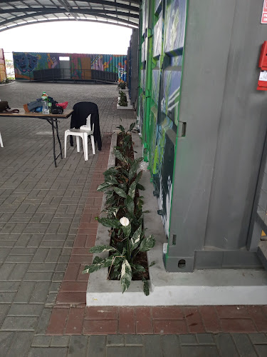 Mercado Municipal Casuarina