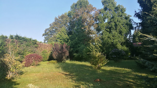 Pinas - Gastronomía y hostelería