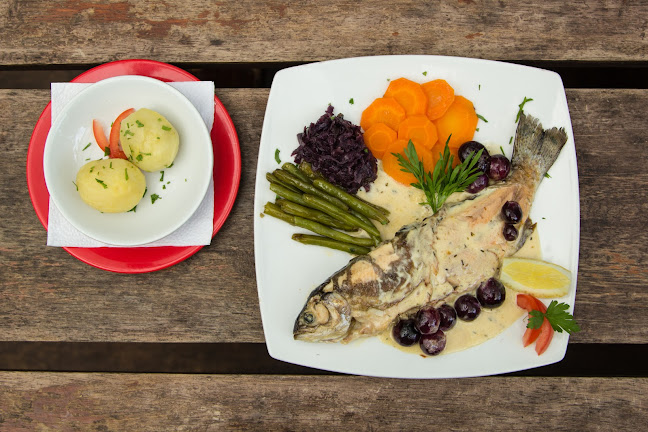 Swiss Bistro Baños - Gastronomía y hostelería