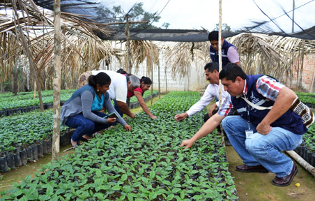 Opinii despre APROCEL în La Victoria - Gastronomía y hostelería