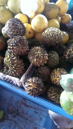 Opinii despre Mercado Puyo Sector Amazonico în Puyo - Gastronomía y hostelería