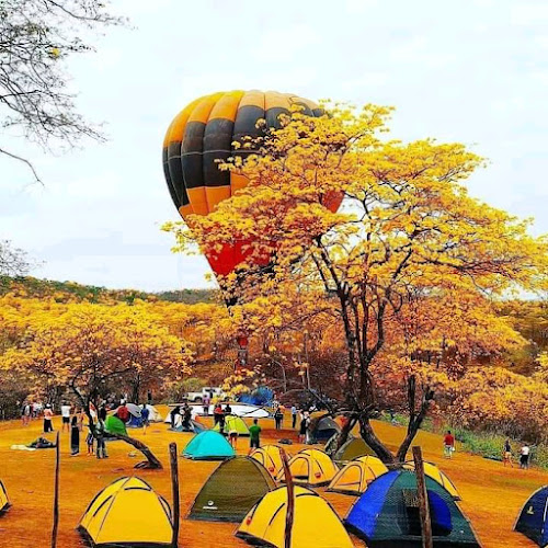 PICANTERIA "MG" - Gastronomía y hostelería