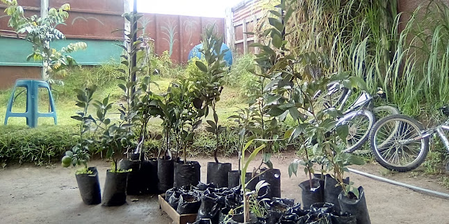 Granja Escuela La Hondonada - Latacunga