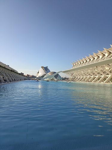 Av. del Professor López Piñero, 7, Quatre Carreres, 46013 València, España