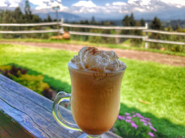 Comentarii opinii despre Posada La Ollita