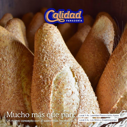 Comentarii opinii despre PANADERÍA Y PASTELERÍA CALIDAD