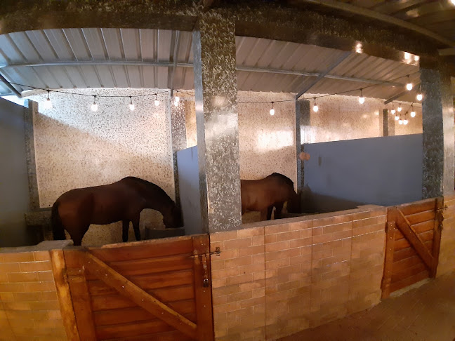 Av. 6 de Diciembre, Rocafuerte