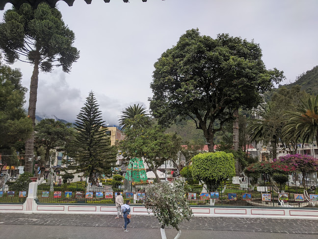 Comentarii opinii despre AMARELO CAFE RESTAURANTE