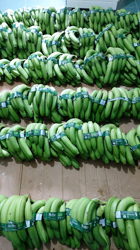 8va A Sur, entre 17ava y 221, Machala 070210