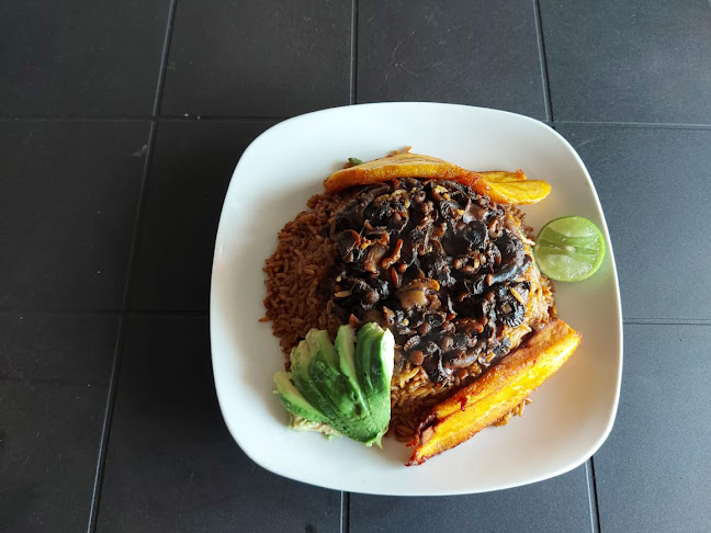 Conchal El Marinerito N#1