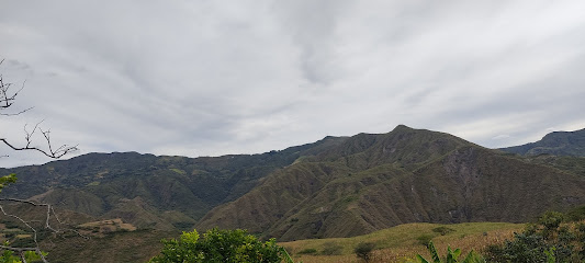 Café Chamba - Finca Nuestra Señora de Guadalupe