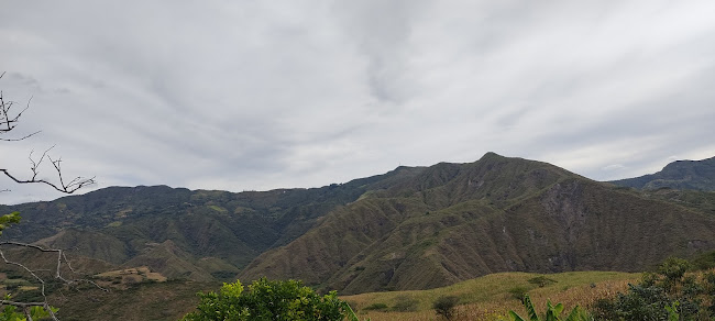Café Chamba - Finca Nuestra Señora de Guadalupe