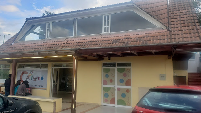 Bioasis Heladeria - Quito