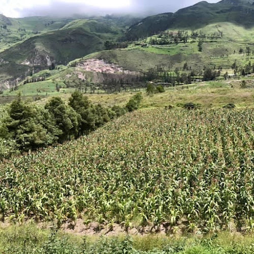 Opinii despre Closed în Alausí - Gastronomía y hostelería