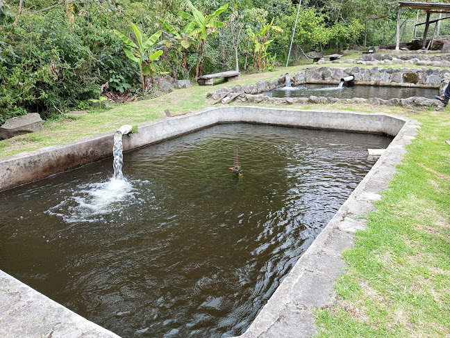 TRUCHAS LA VALENTINA - Ibarra