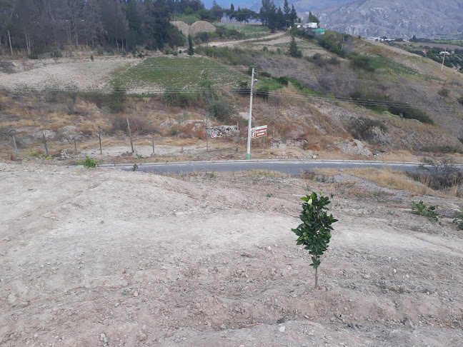 Moraspungo - Moraspungo