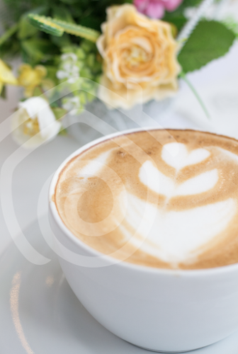 Jorge Juan, Quito 170518