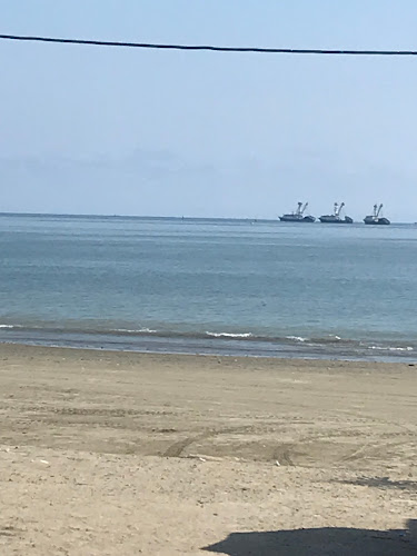 C. 125, Manta 130204