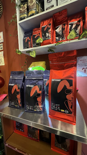 Red Rabbit Coffee Lounge - Gastronomía y hostelería