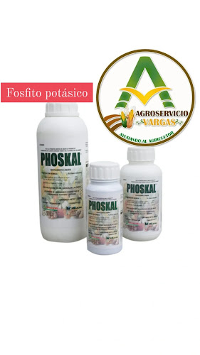 Teofilo Caicedo, Buena Fe