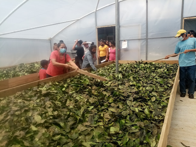 Opinii despre Asociación Wiñak în Archidona - Gastronomía y hostelería