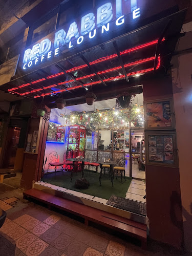 Parque San Francisco, Imbabura 863 y, Cotacachi 100350