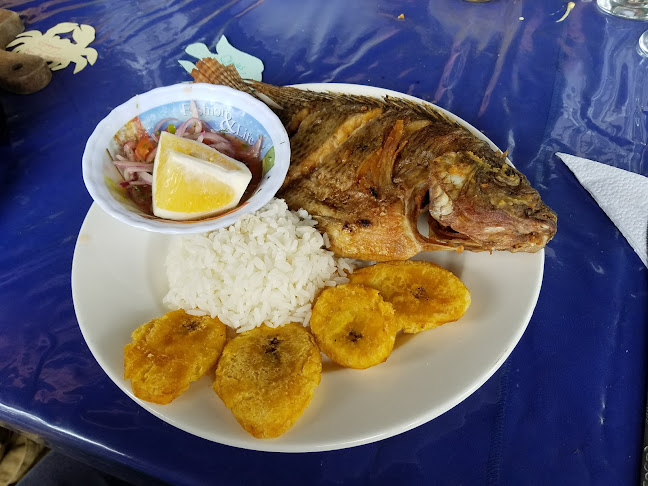 Comentarii opinii despre Paradero VISTA HERMOSA