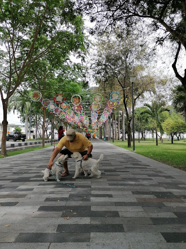 Plaza Rotonda - Portoviejo