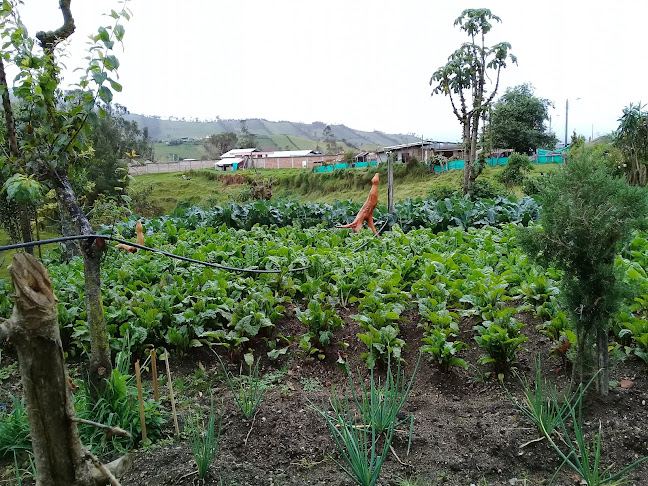 El Volcan Restaurante - Gastronomía y hostelería
