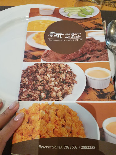 Comentarii opinii despre Los Molinos del Batán