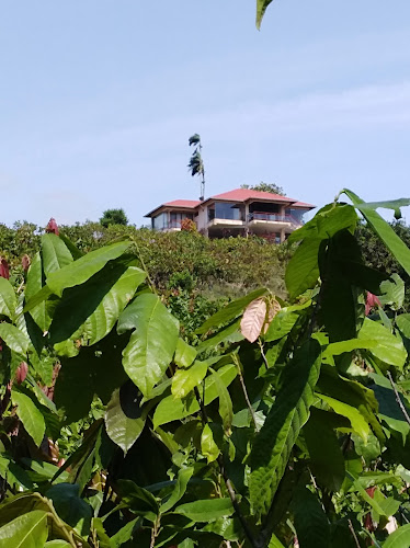 Puerto Quito km 130, Puerto Quito 170753