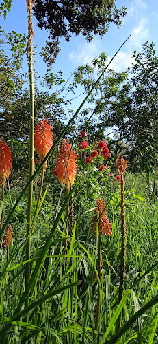 Opinii despre San Antonio de Trabana în Cuenca - Gastronomía y hostelería