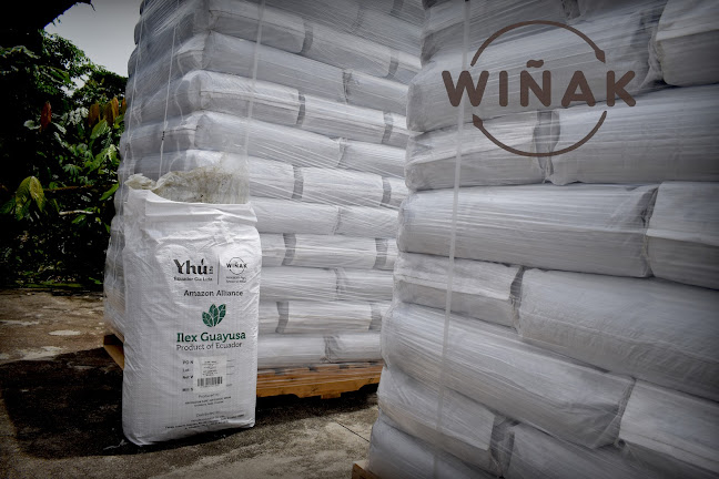 35PP+XJR, Sinchi Sacha, Archidona