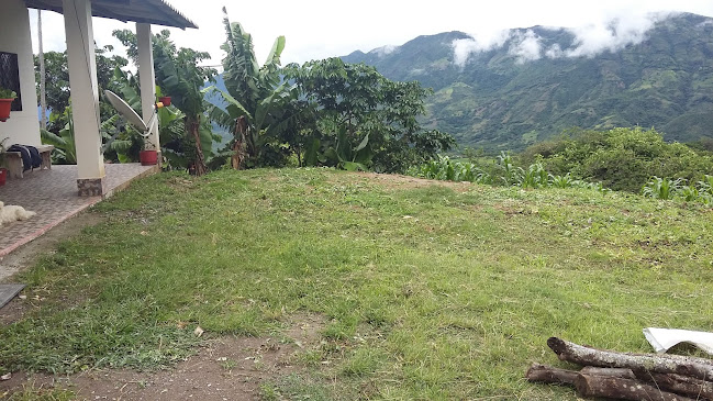 Opinii despre Picanteria shiomi în Loja - Gastronomía y hostelería