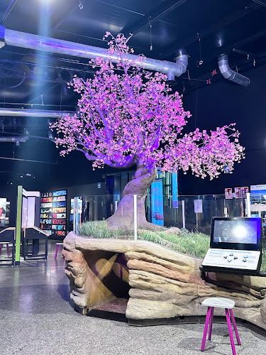 Museu Ristorante Trattoria - Gastronomía y hostelería