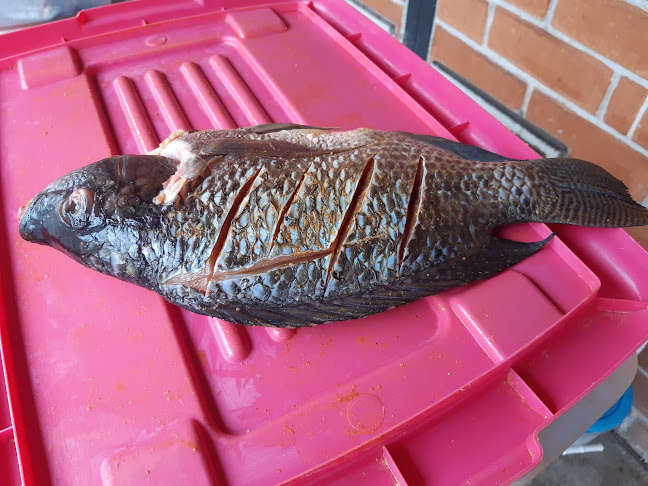 Opinii despre Tilapias Doña Blanquita în Ibarra - Gastronomía y hostelería